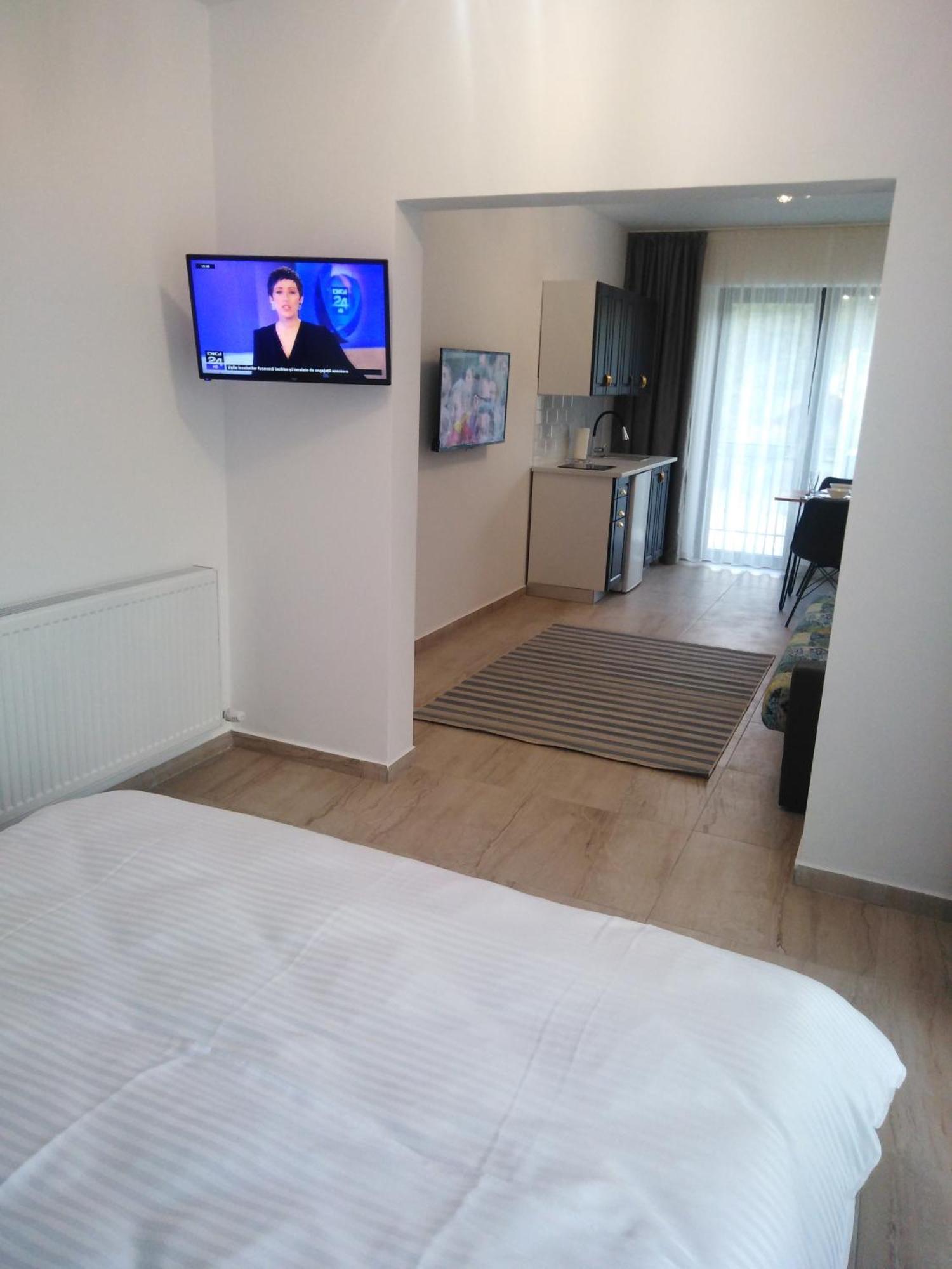 Danifeld Inn Voronet Dış mekan fotoğraf